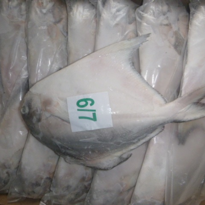 Chicken Leg Quarter